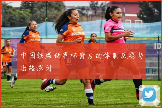 中国缺席世界杯背后的体制反思与出路探讨