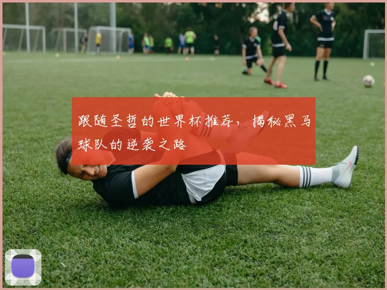 跟随圣哲的世界杯推荐，揭秘黑马球队的逆袭之路