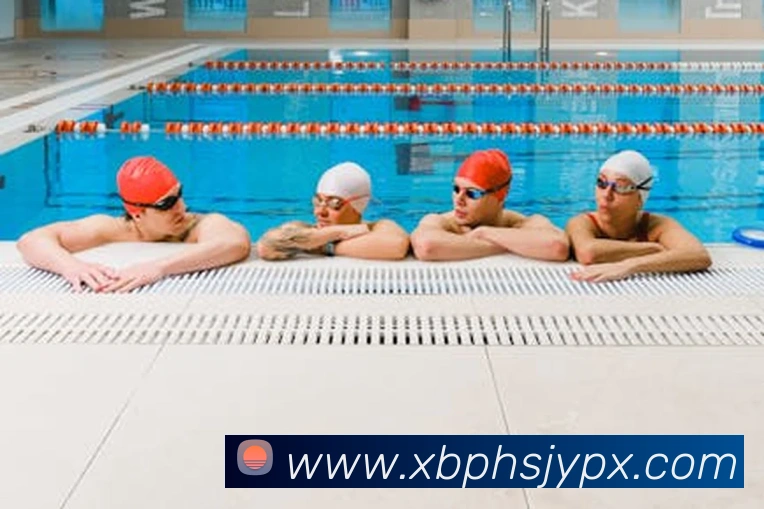 开云官方在线登陆入口APP 封面图